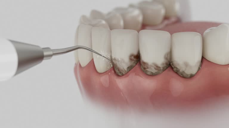 Reliable Dental contractor in Pennside, PA by Dentist Open Now